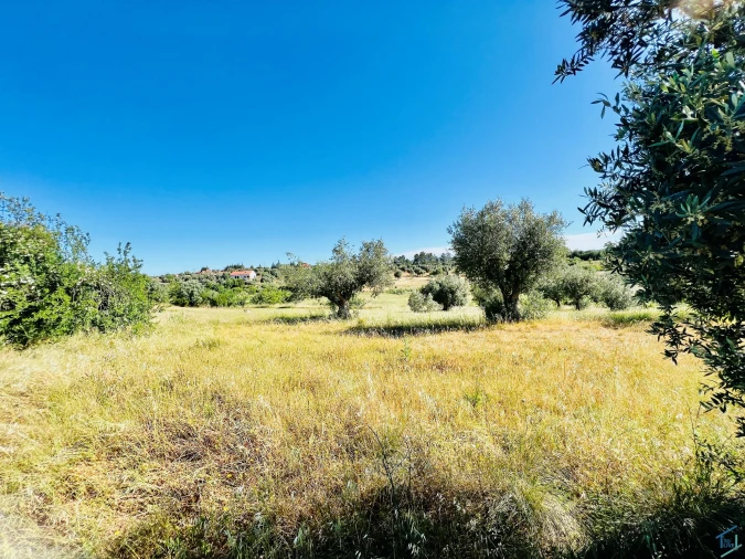 Terreno para Venda em São Pedro de Tomar Foto 6
