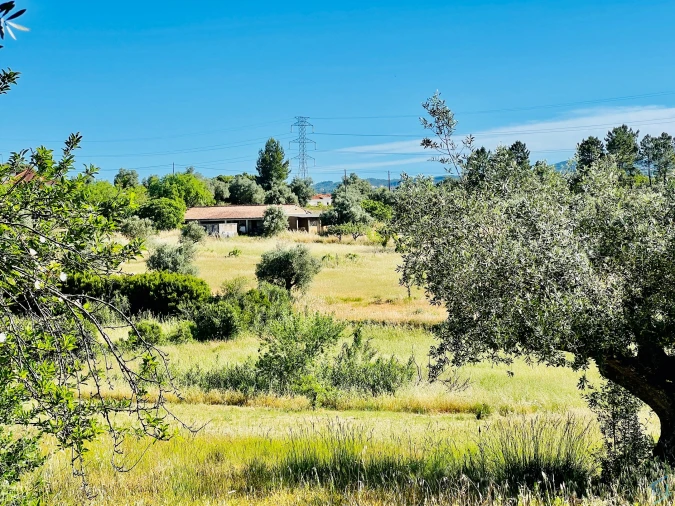 Terreno para Venda em São Pedro de Tomar Foto 5