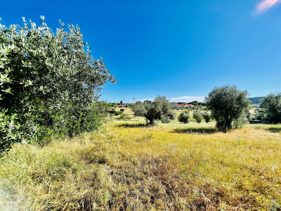Terreno para Venda em São Pedro de Tomar Foto 3