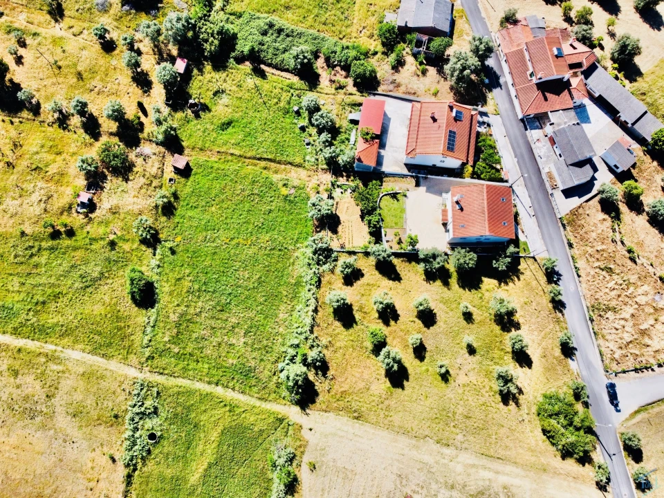 Terreno para Venda em São Pedro de Tomar Foto 12