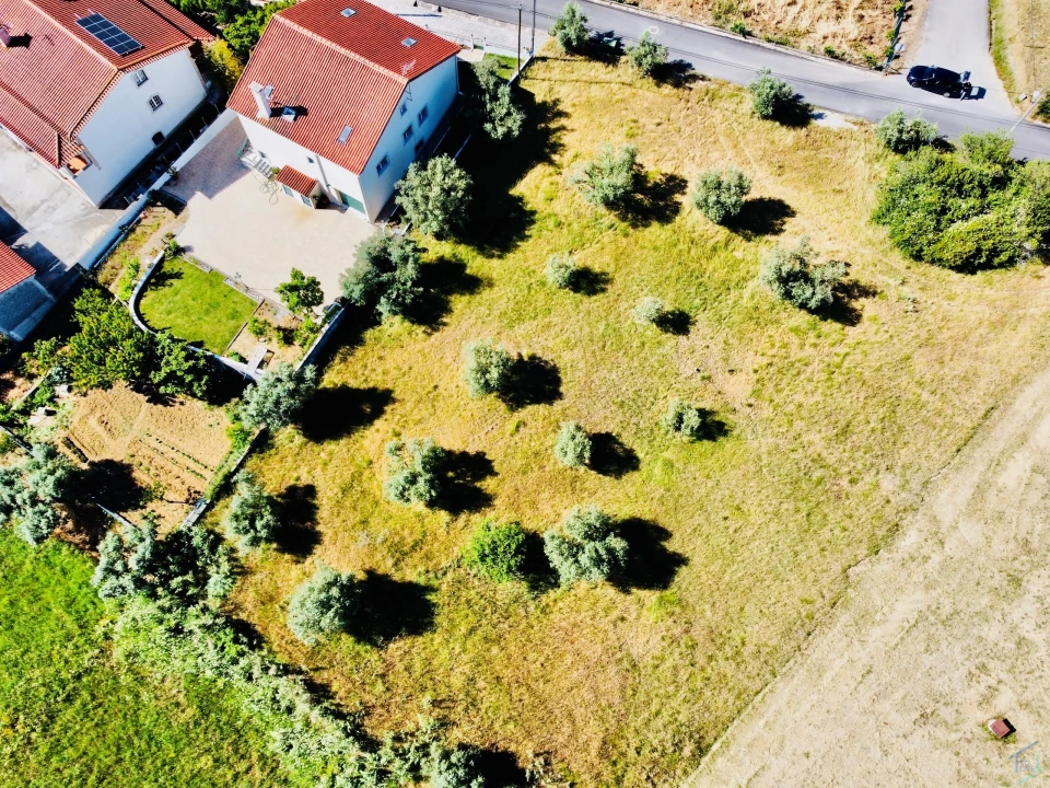 Terreno para Venda em São Pedro de Tomar Foto 11