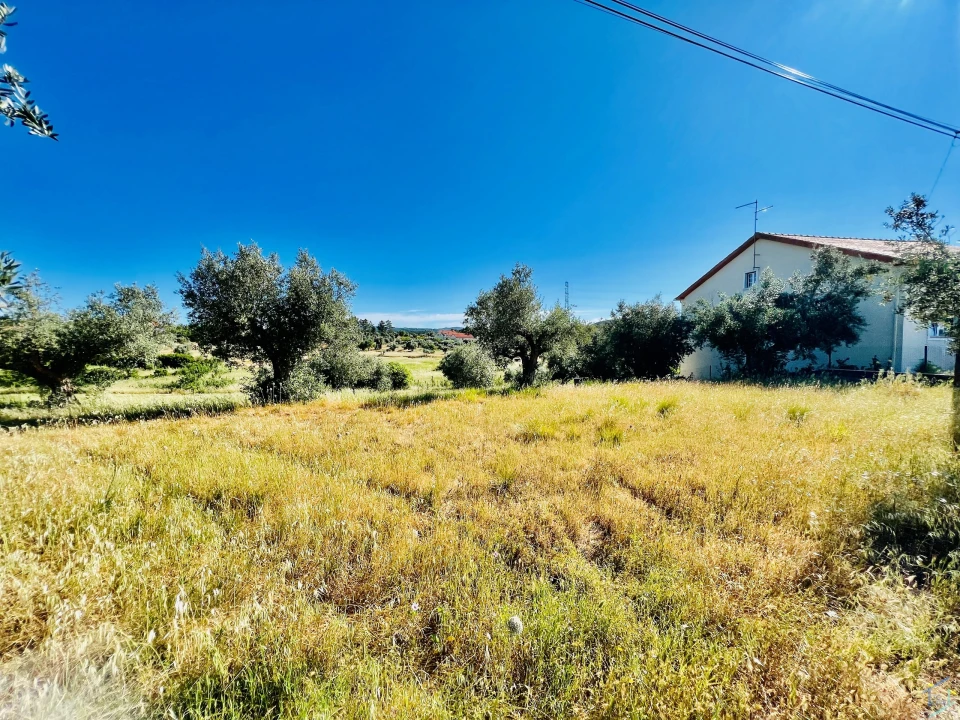 Terreno para Venda em São Pedro de Tomar Foto 2