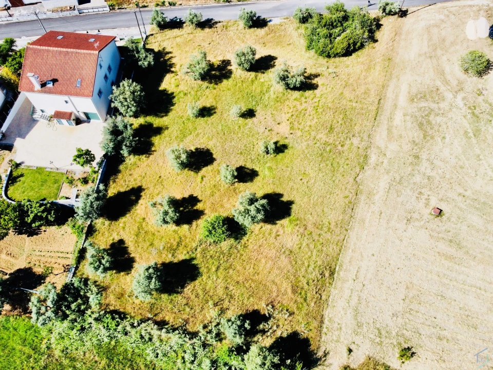 Terreno para Venda em São Pedro de Tomar Foto 13