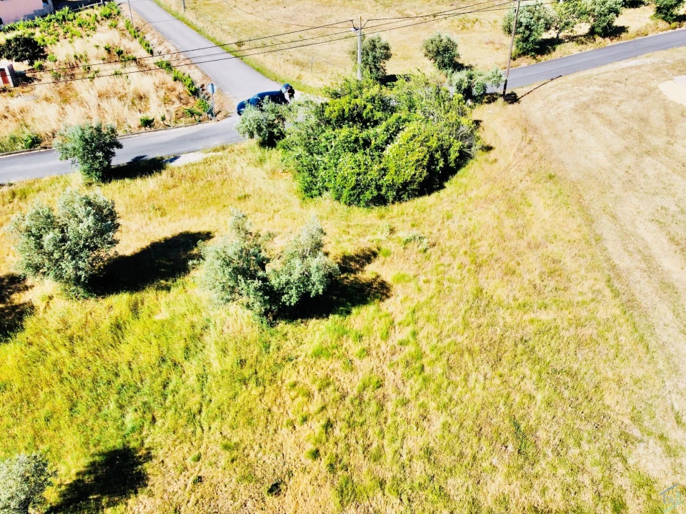 Terreno para Venda em São Pedro de Tomar Foto 9