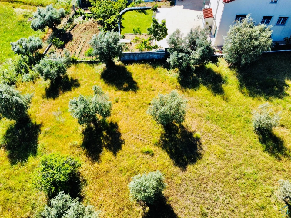 Terreno para Venda em São Pedro de Tomar Foto 7