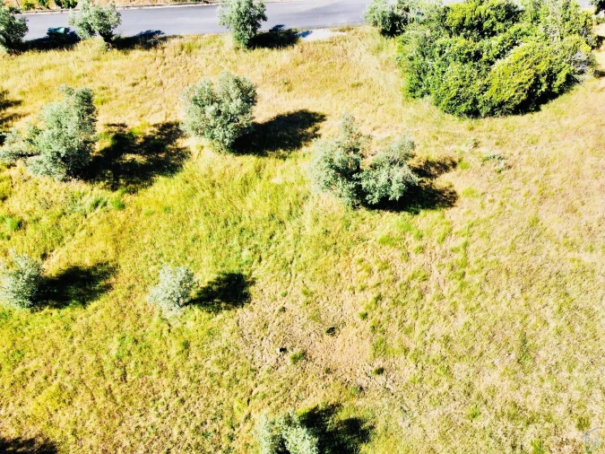 Terreno para Venda em São Pedro de Tomar Foto 8