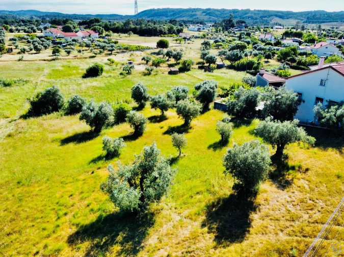 Terreno para Venda em São Pedro de Tomar Foto 5