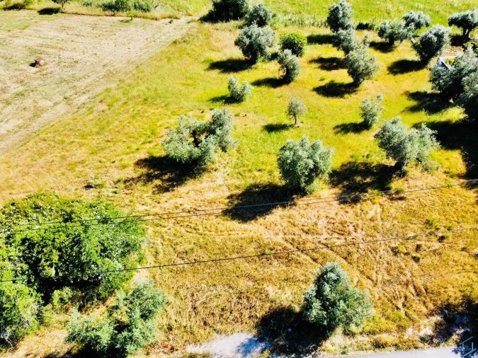 Terreno para Venda em São Pedro de Tomar Foto 10