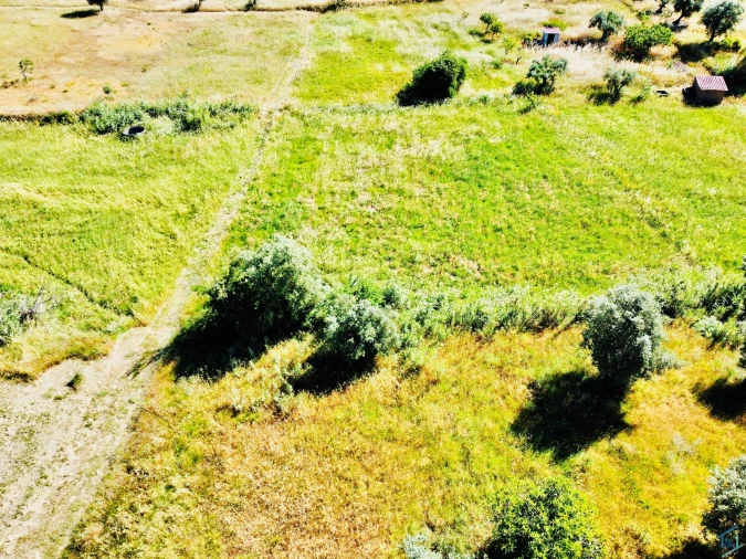 Terreno para Venda em São Pedro de Tomar Foto 6