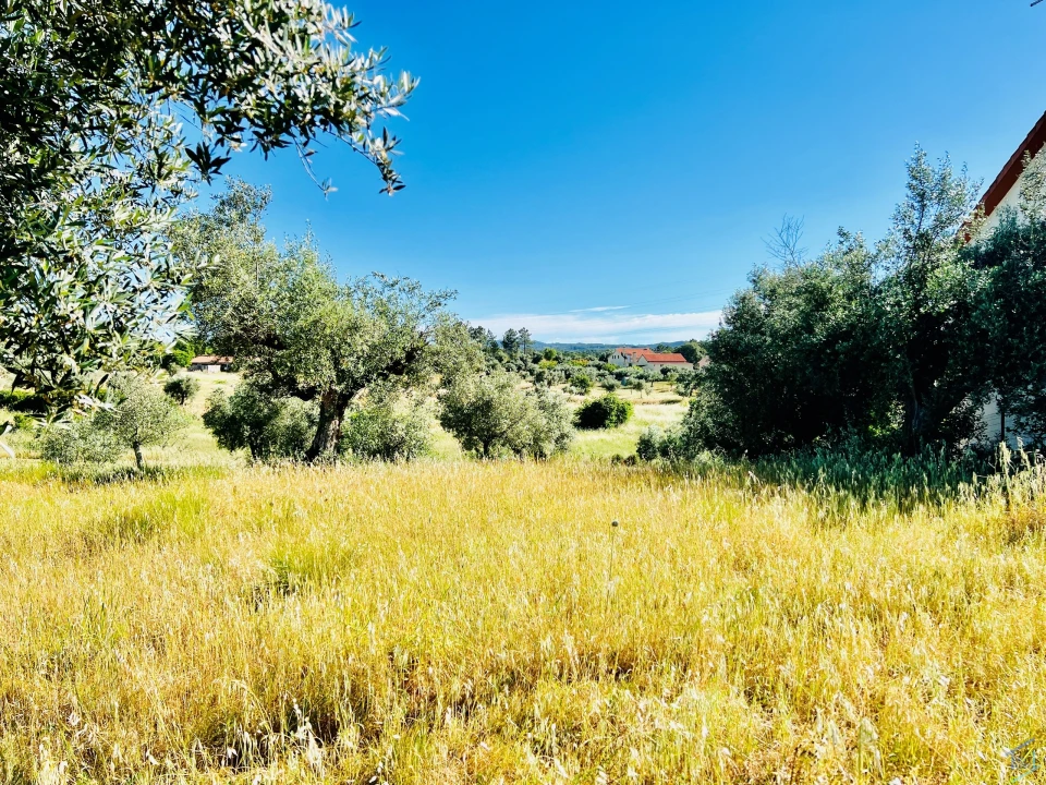 Terreno para Venda em São Pedro de Tomar Foto 4