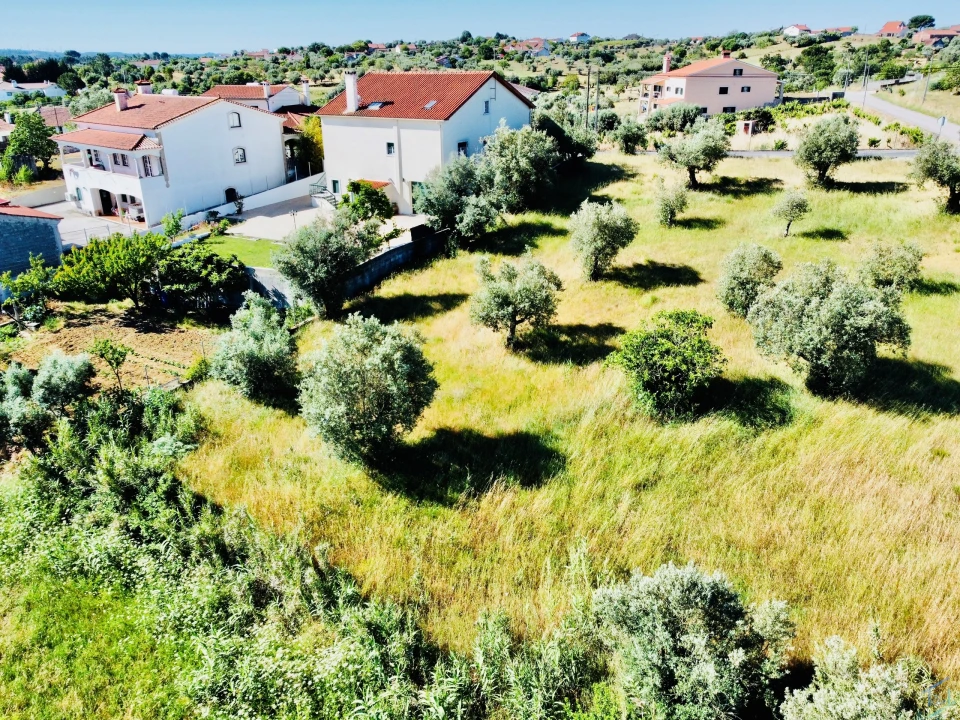 Terreno para Venda em São Pedro de Tomar Foto 14