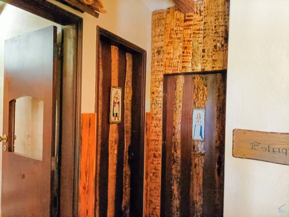 Negócio para Trespasse em São Pedro de Tomar Foto 30