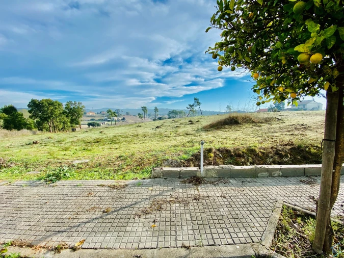 Terreno para Venda em São Pedro de Tomar Foto 8