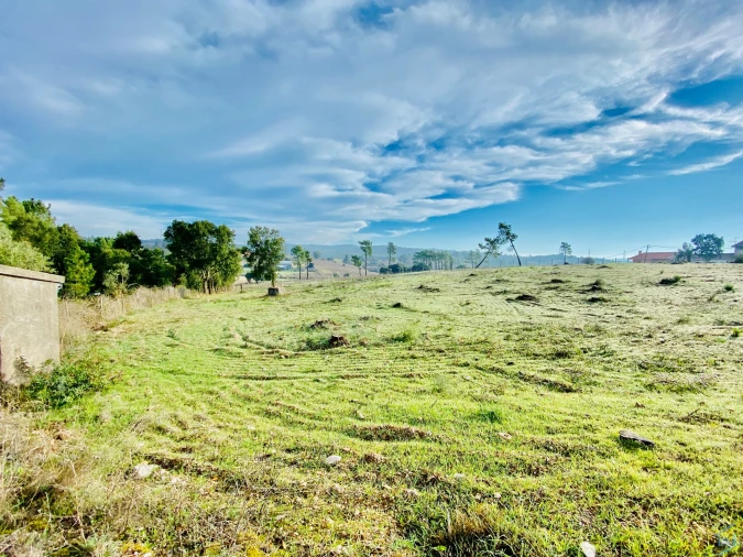 Terreno para Venda em São Pedro de Tomar Foto 4