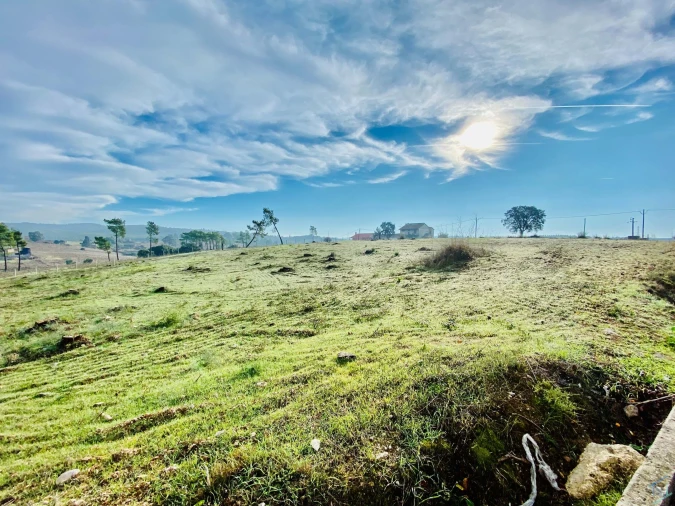 Terreno para Venda em São Pedro de Tomar Foto 3