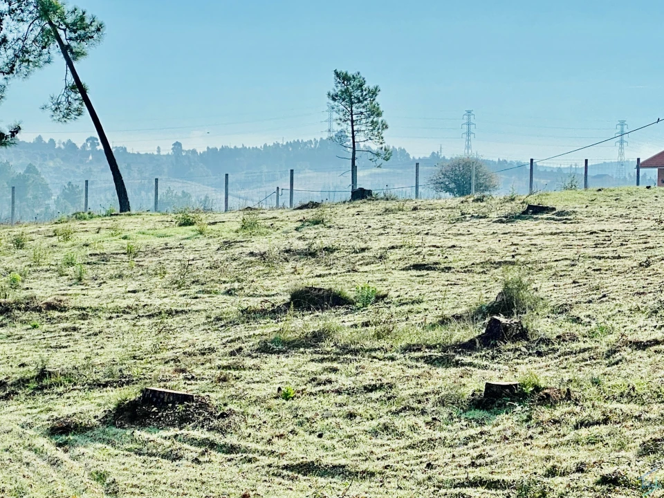 Terreno para Venda em São Pedro de Tomar Foto 6