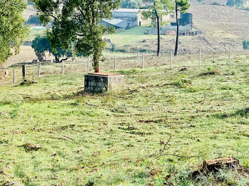 Terreno para Venda em São Pedro de Tomar Foto 5