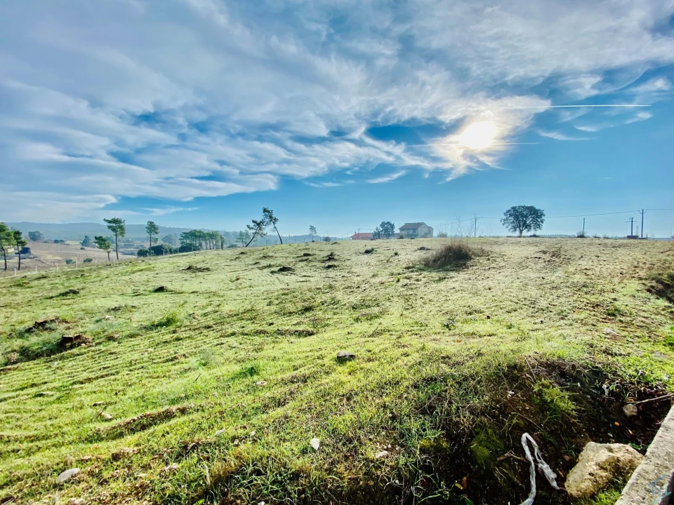 Terreno para Venda em São Pedro de Tomar Foto 3