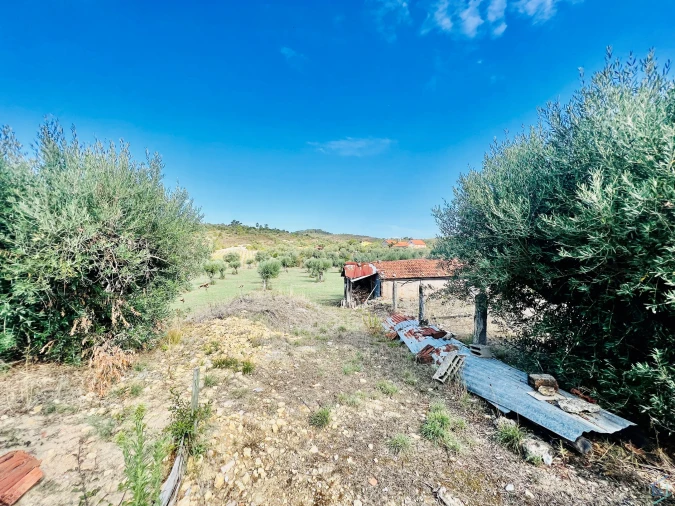 Moradia T2 para Venda em Chãos Foto 7