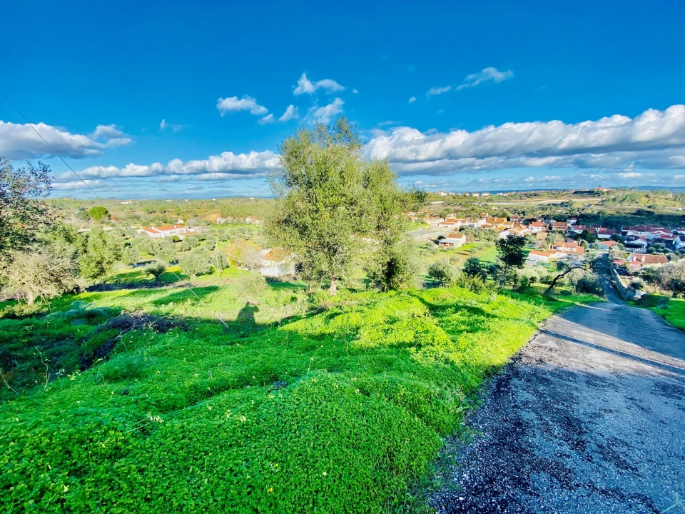 Terreno para Venda em Carregueiros Foto 19
