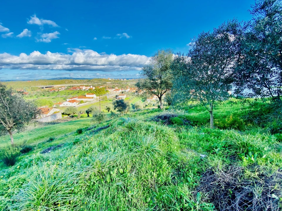 Terreno para Venda em Carregueiros Foto 20