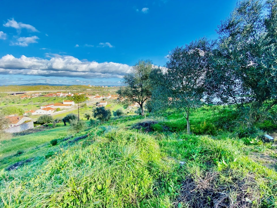 Terreno para Venda em Carregueiros Foto 21