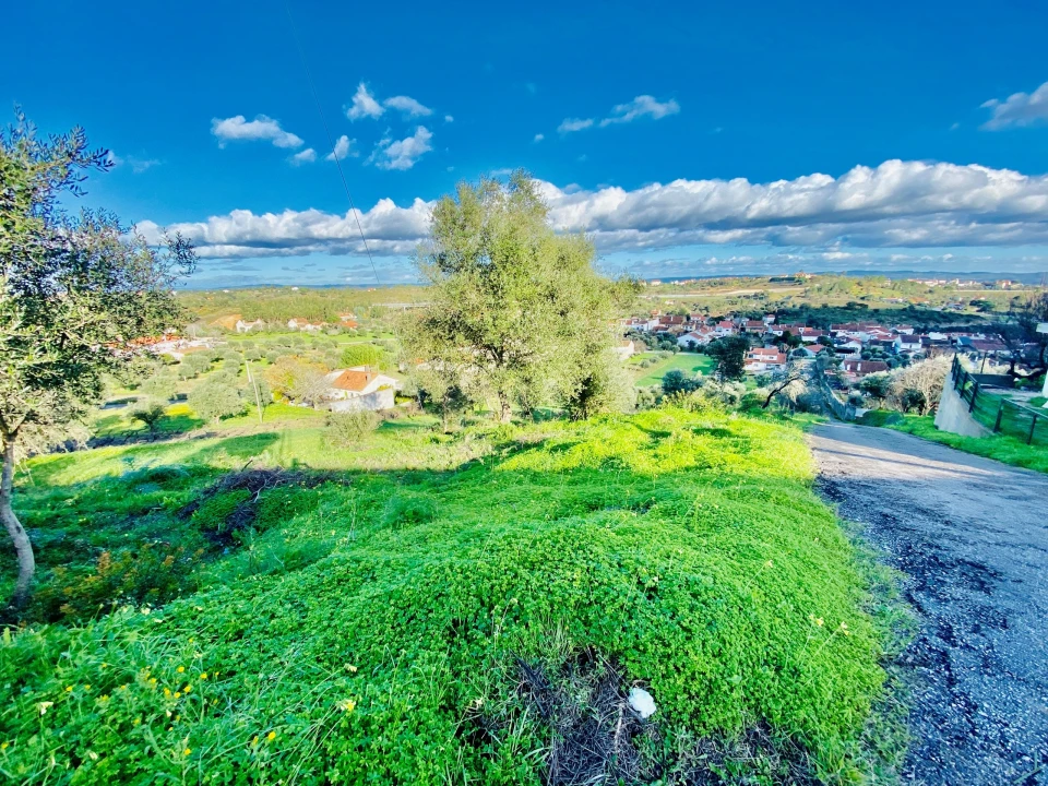 Terreno para Venda em Carregueiros Foto 17