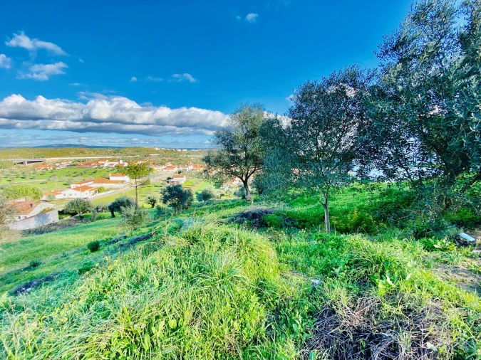 Terreno para Venda em Carregueiros Foto 21