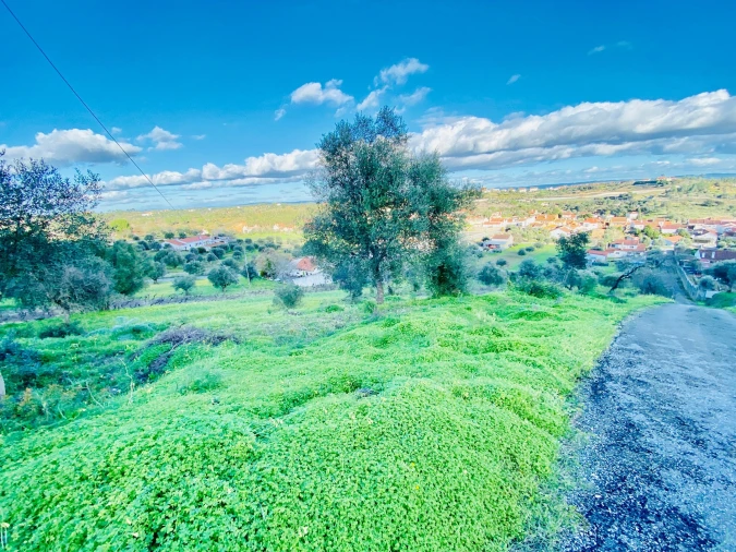 Terreno para Venda em Carregueiros Foto 23