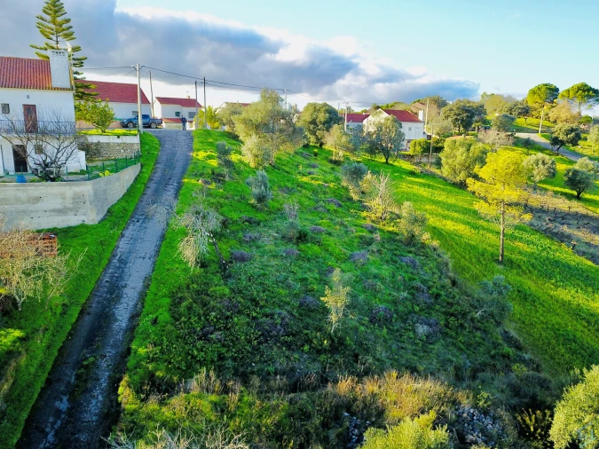 Terreno para Venda em Carregueiros Foto 2