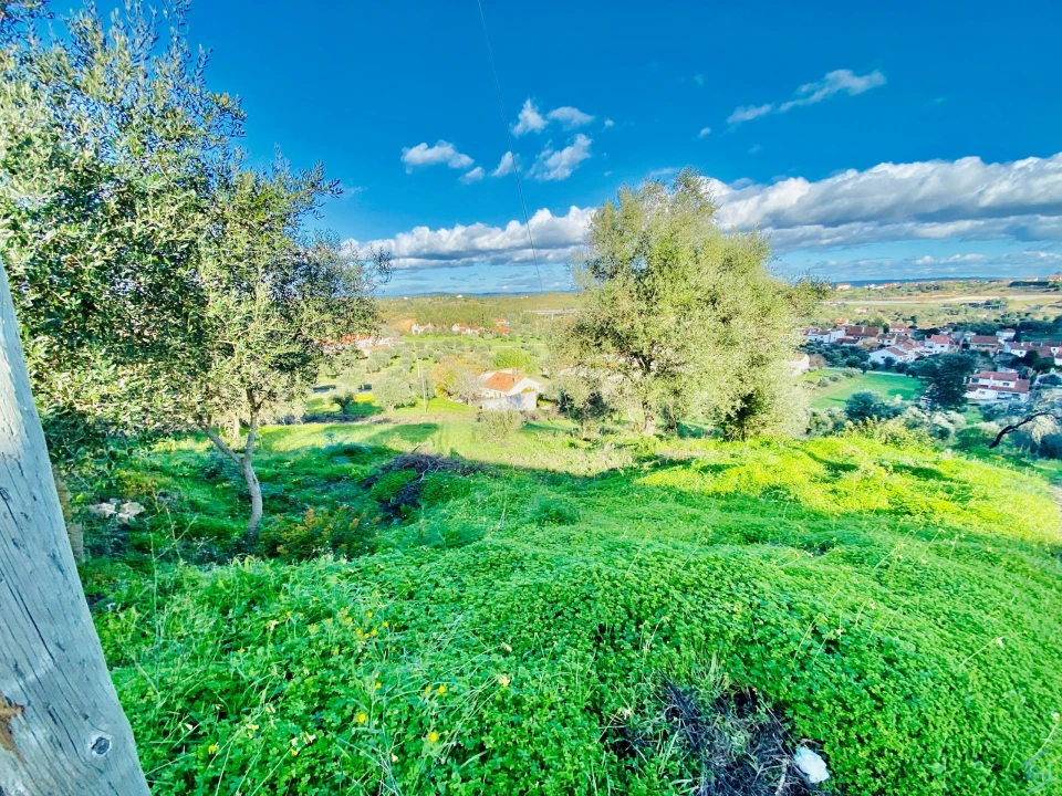 Terreno para Venda em Carregueiros Foto 16