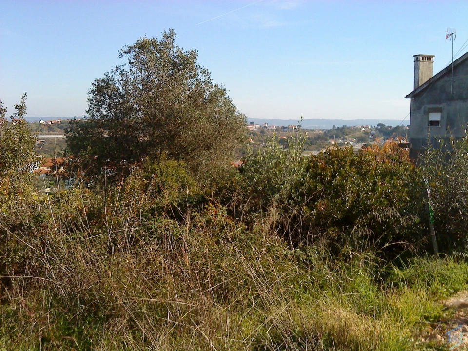 Terreno para Venda em Carregueiros Foto 13