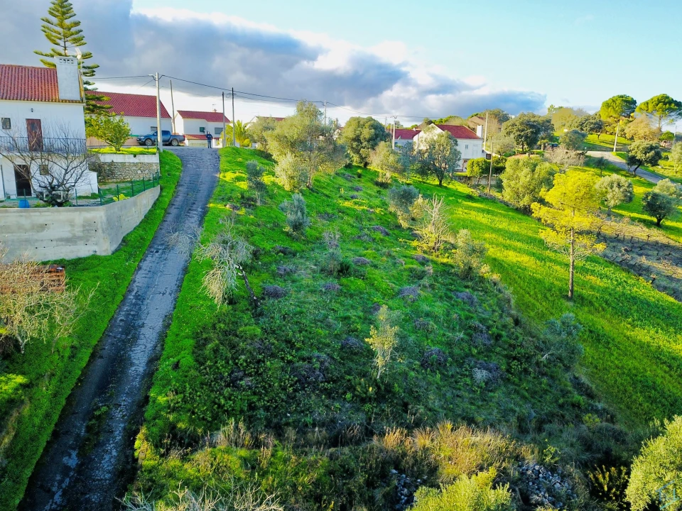 Terreno para Venda em Carregueiros Foto 2