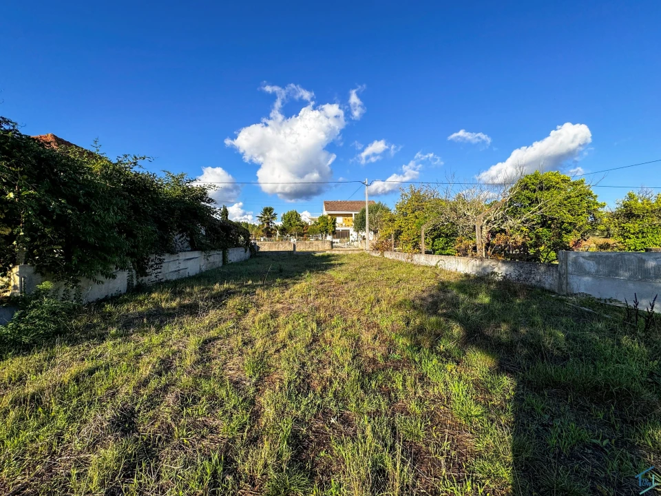 Terreno para Venda em São Pedro de Tomar Foto 11