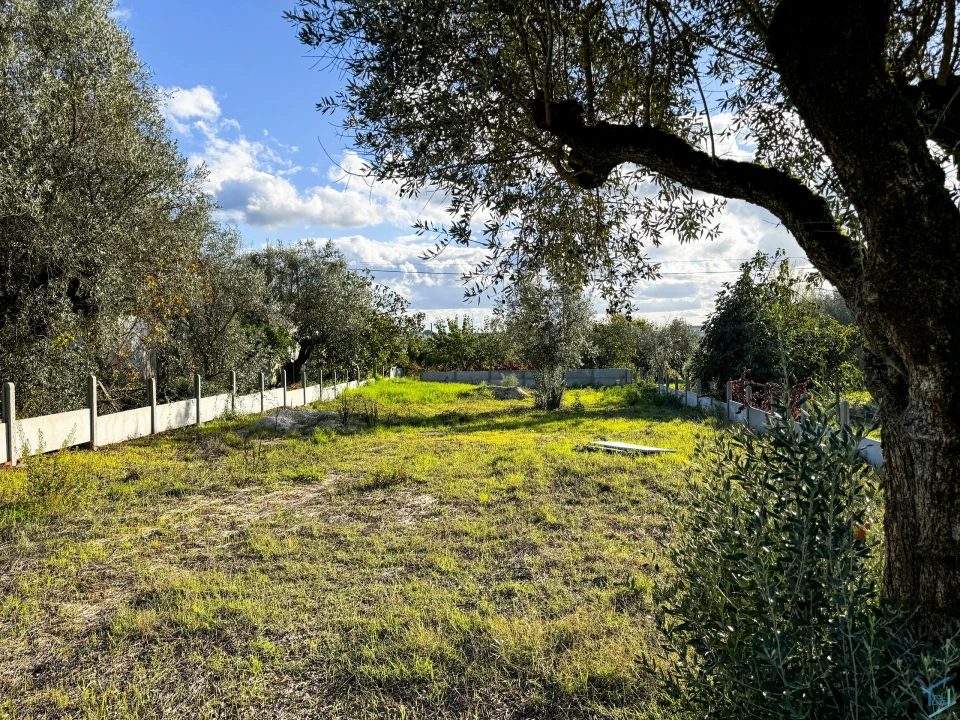 Terreno para Venda em São Pedro de Tomar Foto 13