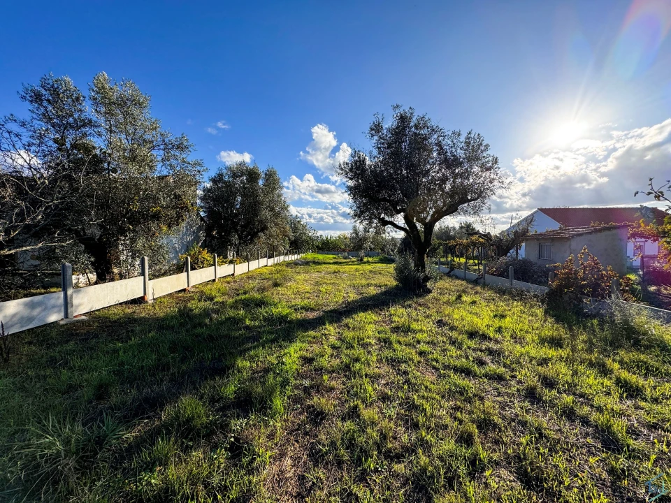 Terreno para Venda em São Pedro de Tomar Foto 10