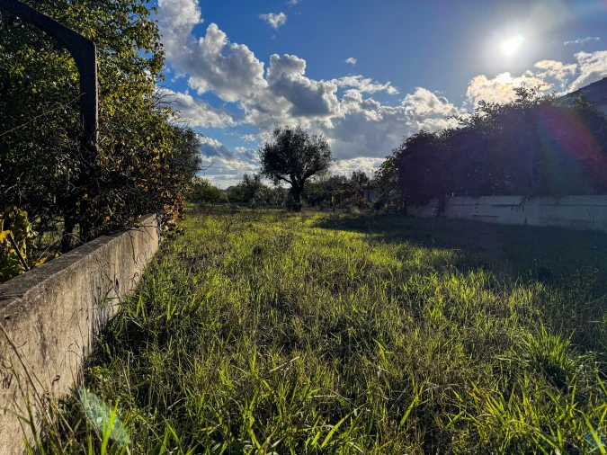 Terreno para Venda em São Pedro de Tomar Foto 6