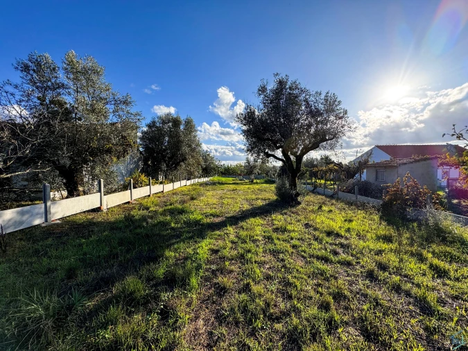 Terreno para Venda em São Pedro de Tomar Foto 10