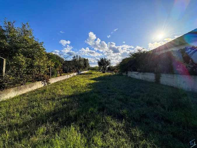 Terreno para Venda em São Pedro de Tomar Foto 9