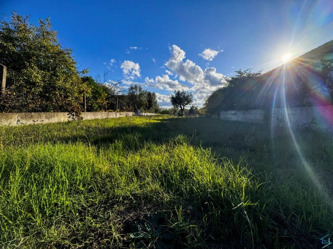 Terreno para Venda em São Pedro de Tomar Foto 3