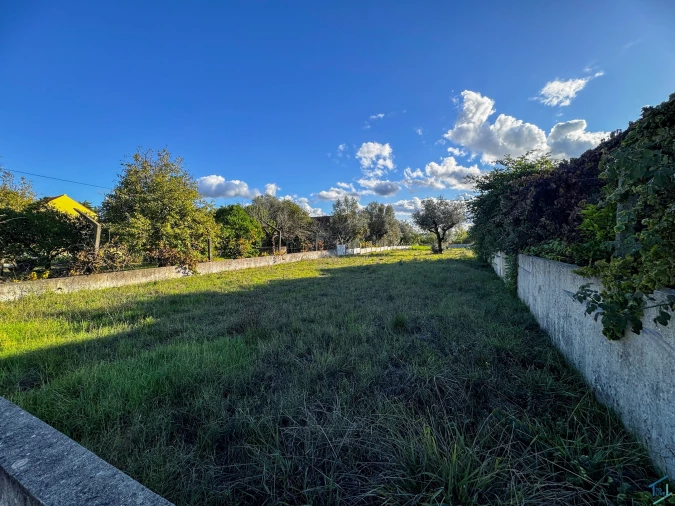 Terreno para Venda em São Pedro de Tomar Foto 4