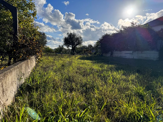 Terreno para Venda em São Pedro de Tomar Foto 8