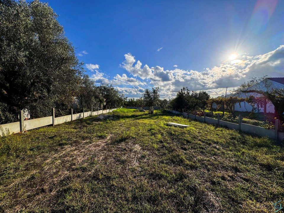 Terreno para Venda em São Pedro de Tomar Foto 2