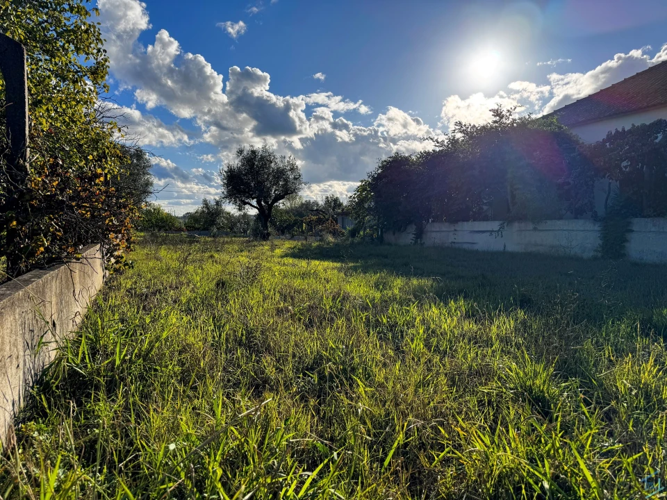 Terreno para Venda em São Pedro de Tomar Foto 7