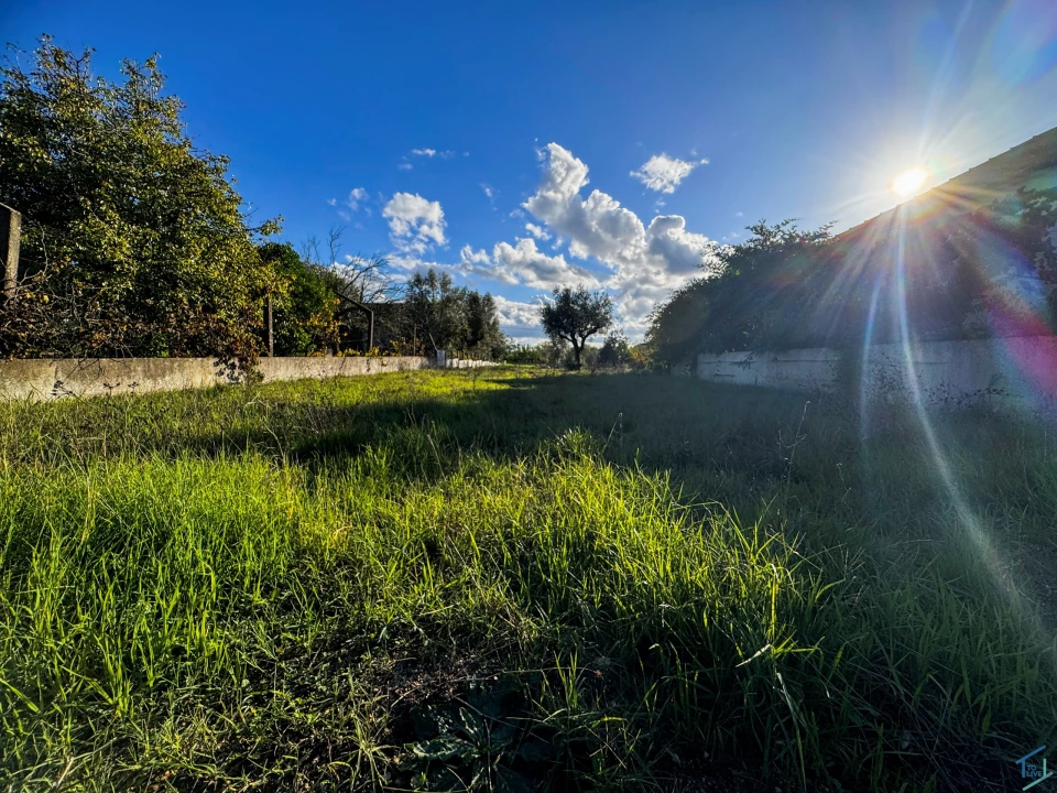 Terreno para Venda em São Pedro de Tomar Foto 3