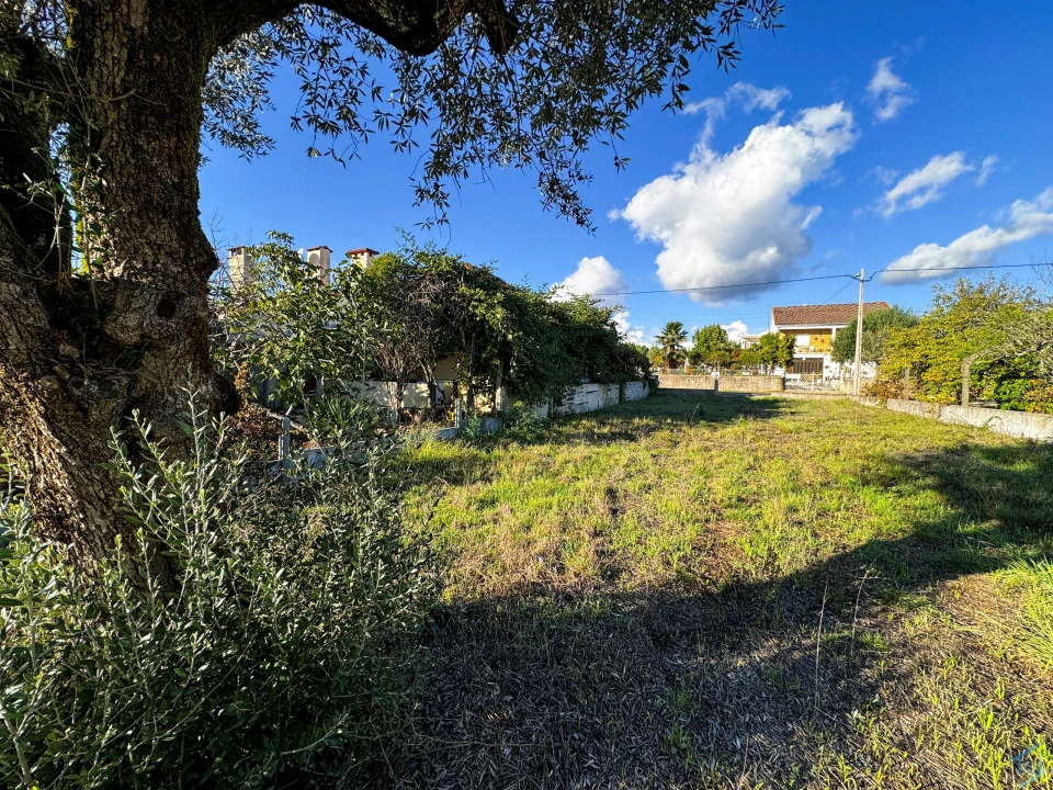 Terreno para Venda em São Pedro de Tomar Foto 12