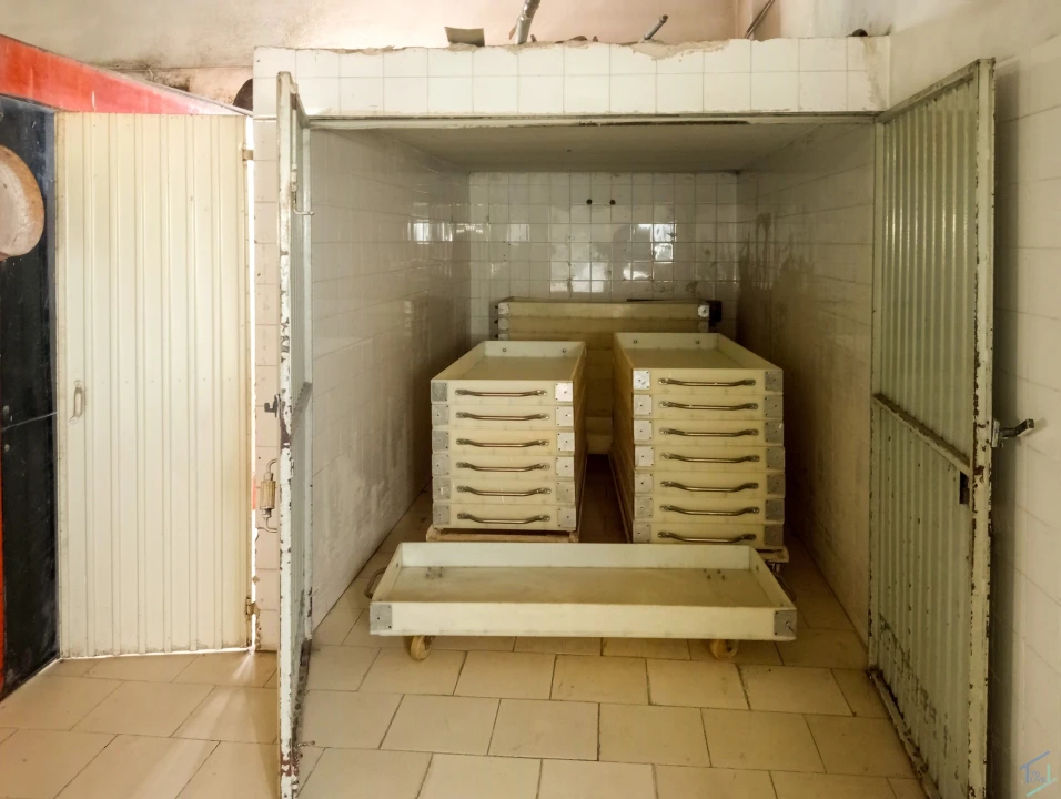 Negócio para Venda em Madalena e Beselga Foto 16