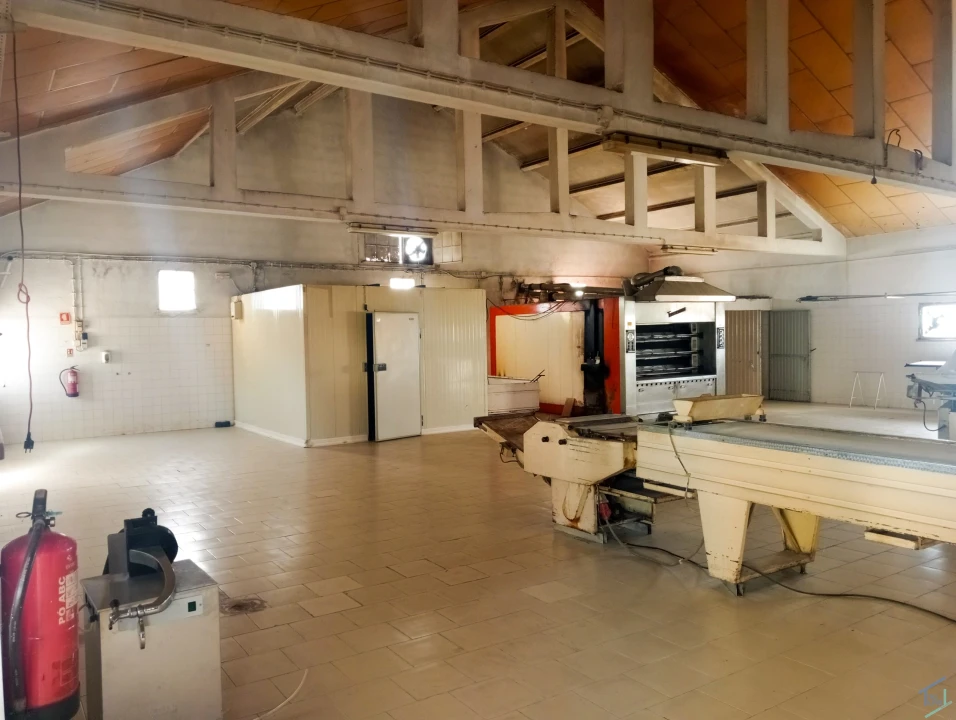 Negócio para Venda em Madalena e Beselga Foto 14