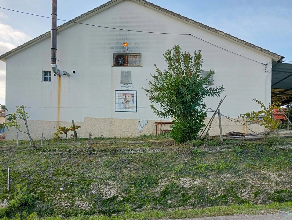 Negócio para Venda em Madalena e Beselga Foto 11