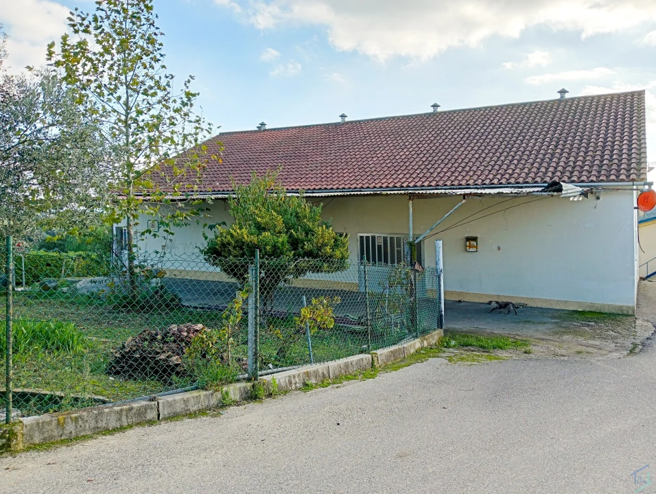 Negócio para Venda em Madalena e Beselga Foto 9